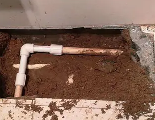 久治测漏水哪家好